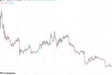 柚子币是什么?柚子币值得买吗?大白话解释柚子币 - php中文网